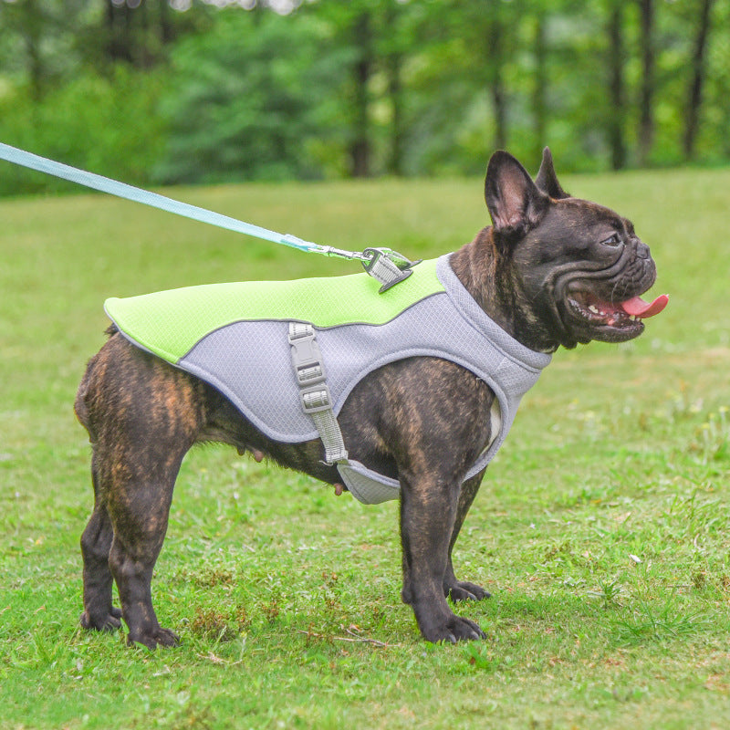 Cooling, Breathable Dog Harness
