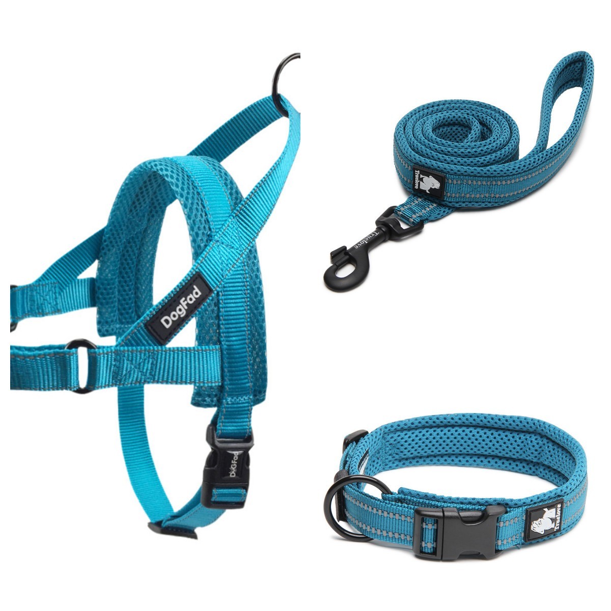 Dog Leash